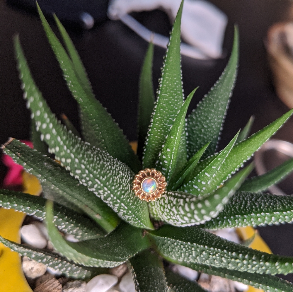 Anatometal 14k Gold Light Blue Opal Earrings